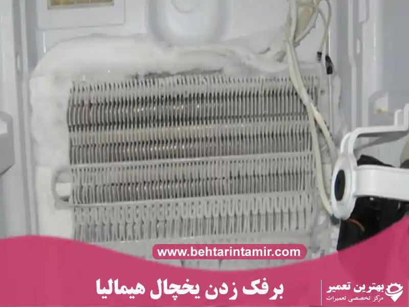 تعمیر یخچال هیمالیا در تهران | 6ماه ضمانت + فوری در محل 28 دلایل برفک زدن در یخچال هیمالیا